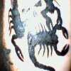Gid's scorpion tattoo by Elmo